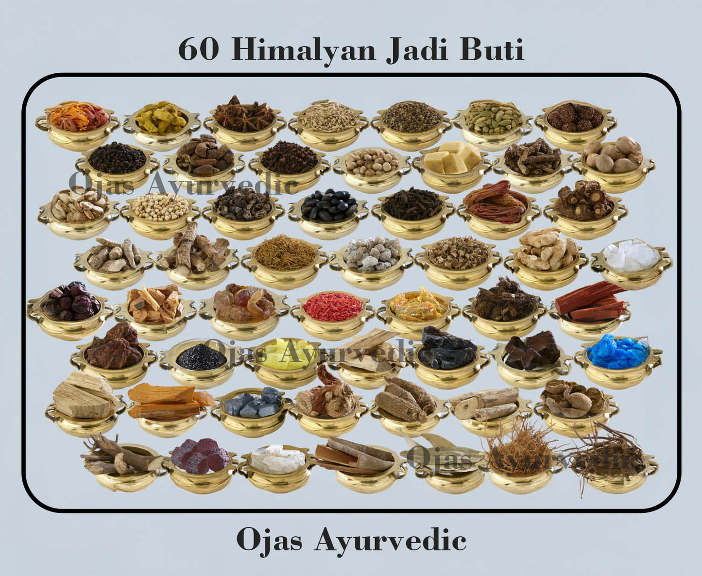 Ojas Ayurvedic – Nightrider XT Powder (60 Ayurvedic Herbs for Stamina & Vitality)