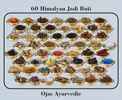 Ojas Ayurvedic – Nightrider XT Powder (60 Ayurvedic Herbs for Stamina & Vitality)